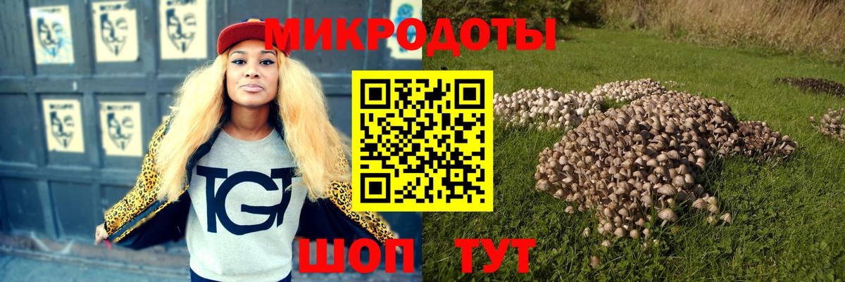 Галлюциногенные грибы мухоморы  Вход с VPN  Ачхой-Мартан 
