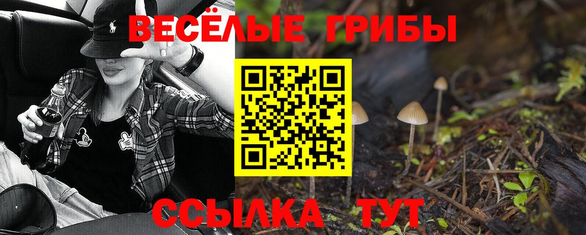 Псилоцибиновые грибы Psilocybine cubensis Ачхой-Мартан